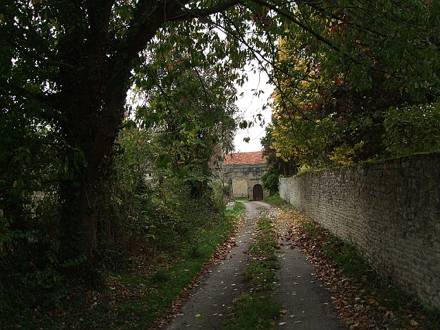 futur trail 041.jpg